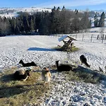 Osrodek Wypoczynkowy Wzgorza Bed & Breakfast 3*
