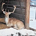 Bed & Breakfast Osrodek Wypoczynkowy Wzgorza Czerwienne