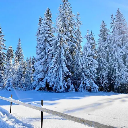 Osrodek Wypoczynkowy Wzgorza 3* Czerwienne