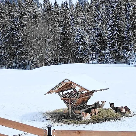 Ośrodek Wypoczynkowy Czerwienne Wzgórza 3* Czerwienne