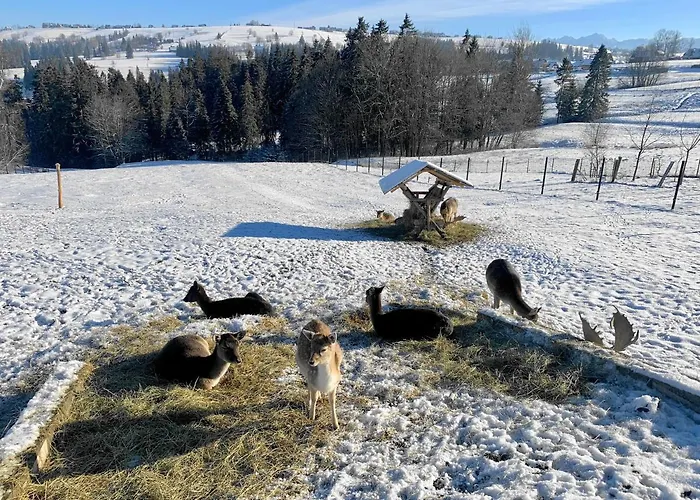 Osrodek Wypoczynkowy U Bartka Bed & Breakfast 3*