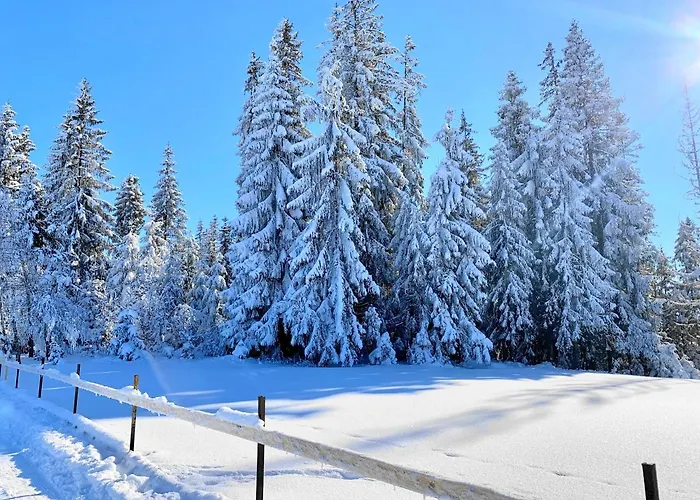 Osrodek Wypoczynkowy U Bartka 3* Czerwienne
