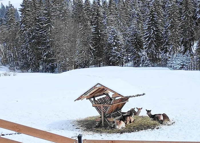 Osrodek Wypoczynkowy U Bartka 3* Czerwienne